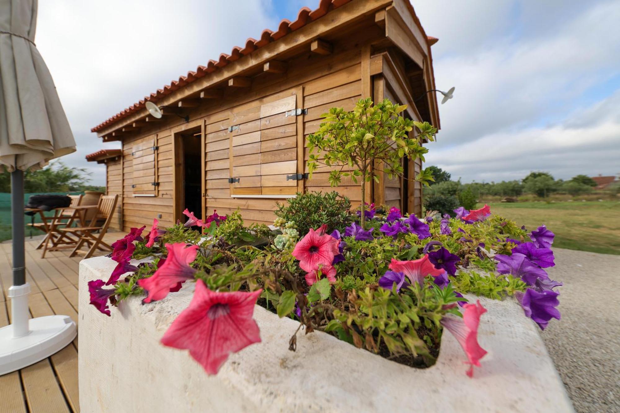 Villa Renovated Wine Press House - With Pool Porto de Mós Camera foto
