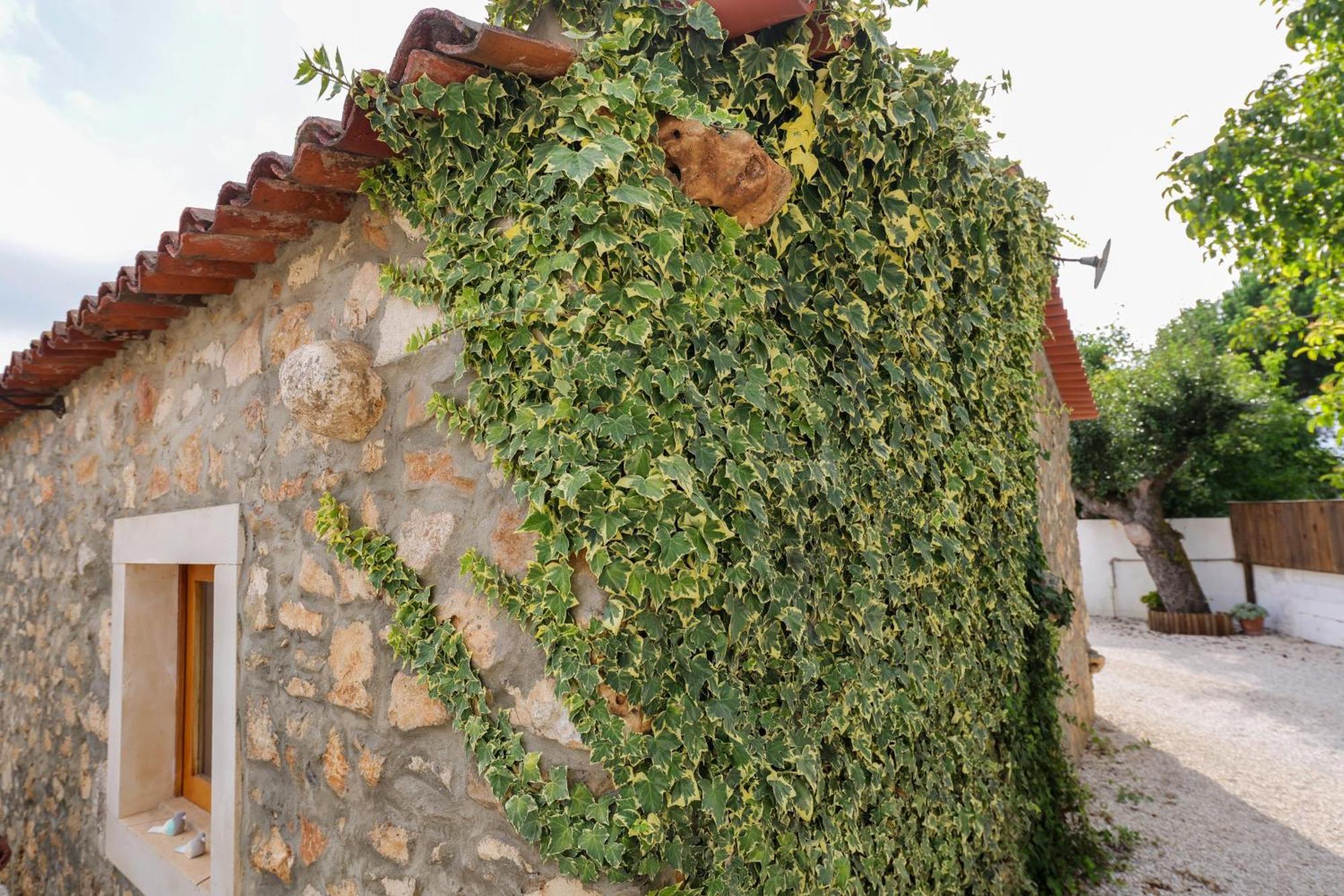 Villa Renovated Wine Press House - With Pool Porto de Mós Esterno foto